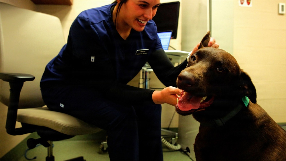 Fort Benning Veterinary Center supports MCoE mission, Families