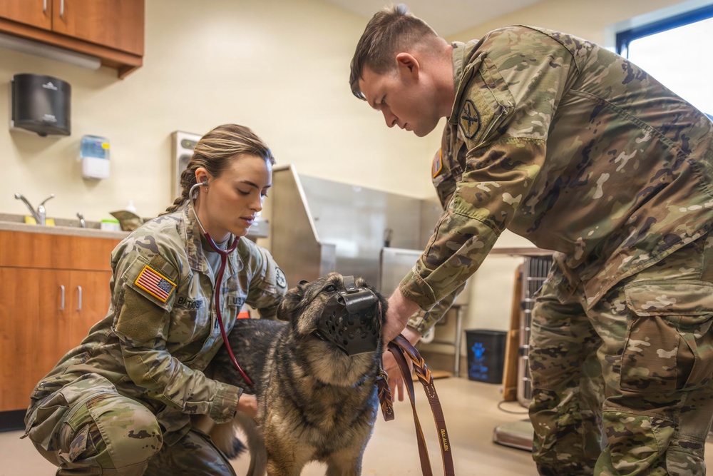 Fort Benning Veterinary Center supports MCoE mission, Families
