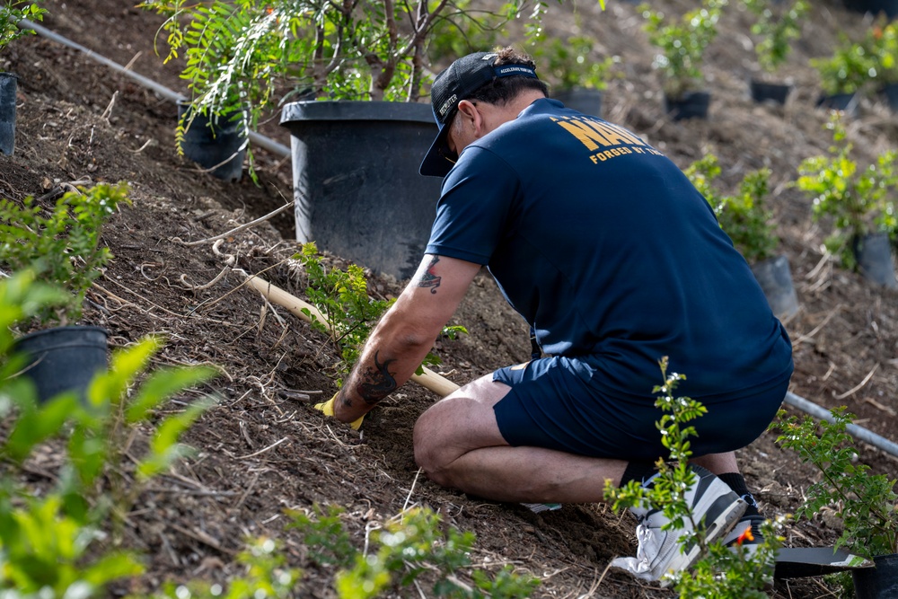 Navy Recruiting Station Mission Viejo Plants Trees for Earth Day