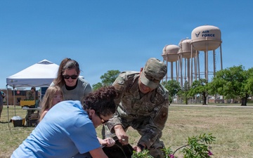 Steadfast Line celebrates Arbor Day