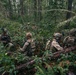 1st Special Forces Group (Airborne) conducts Maneuver Live Fire Exercise