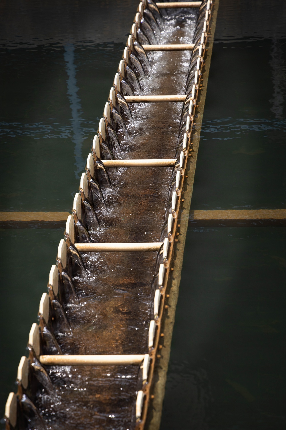 SOUTHCOM medical professionals conduct water testing in Panama