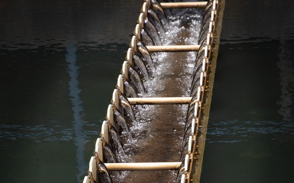 SOUTHCOM medical professionals conduct water testing in Panama