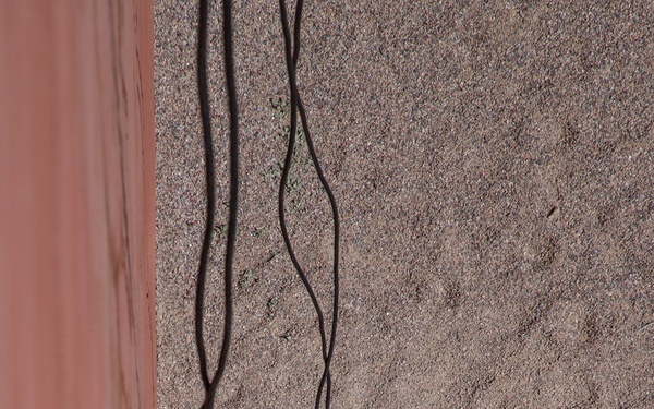 JTF-SB service members participate in rappelling for Air Assault training