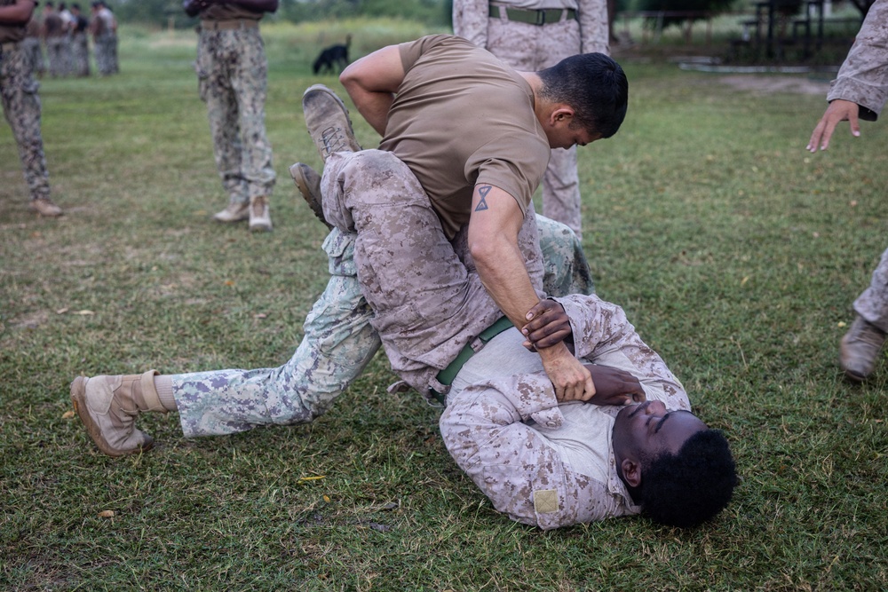 22nd MEU (SOC) | MCMAP Ground Fighting with Ecuadorian Marines