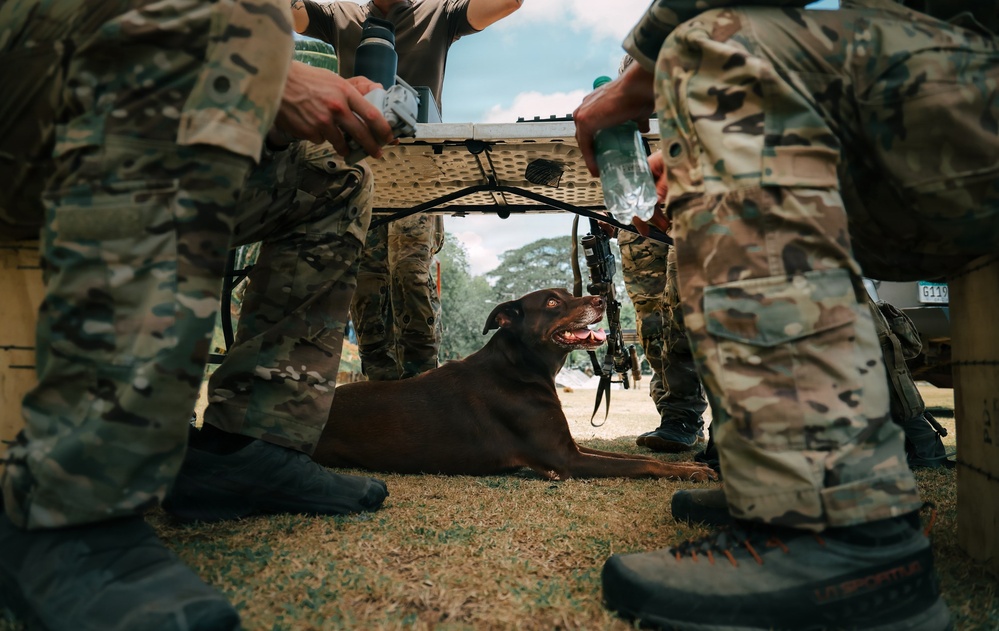 U.S. Army Green Berets train alongside Panamanian Special Operations Forces