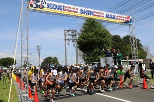 INDEPENDENCE DAY FESTIVAL