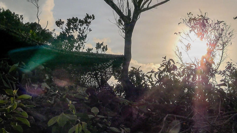 Balikatan 2026: U.S. Marines with MRF-D 26 fire FIM-92 Stinger missiles during combined live-fire event