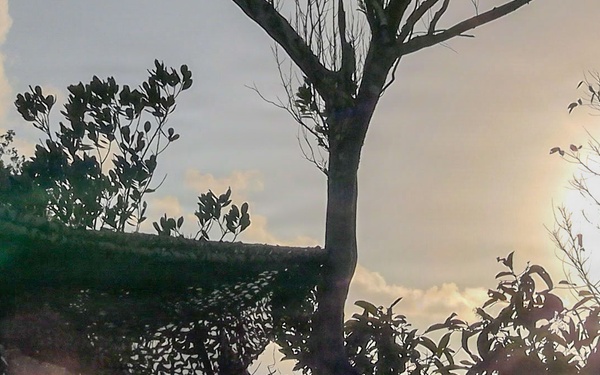 Balikatan 2026: U.S. Marines with MRF-D 26 fire FIM-92 Stinger missiles during a combined live fire event