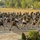Balikatan 26: Bilateral Physical Training Exercise