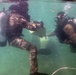 Combat Diver Qaulification Course Students Training
