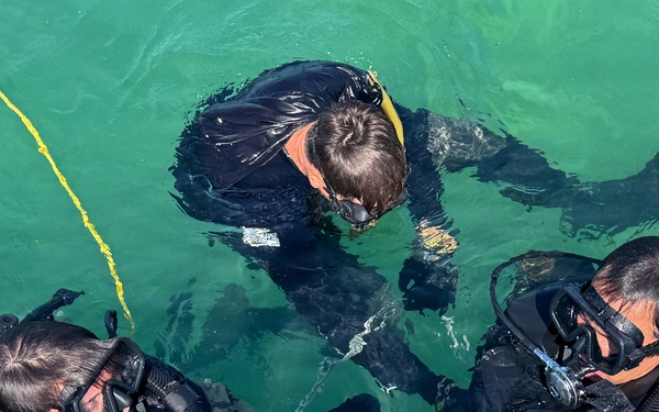 Combat Diver Qaulification Course Students Training