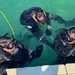 Combat Diver Qaulification Course Students Training