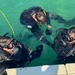 Combat Diver Qaulification Course Students Training