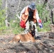 Fort Drum archaeologists partner with canine forensics team to study ancestral sites