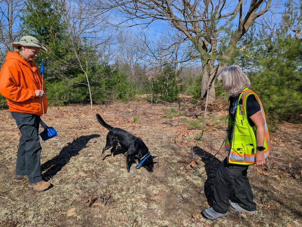 Fort Drum archaeologists partner with canine forensics team to study ancestral sites