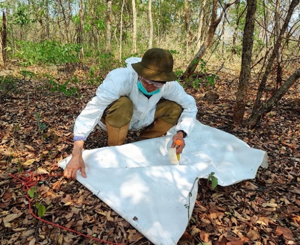 WRAIR-AFRIMS provides infectious disease surveillance in support of Cobra Gold 2026