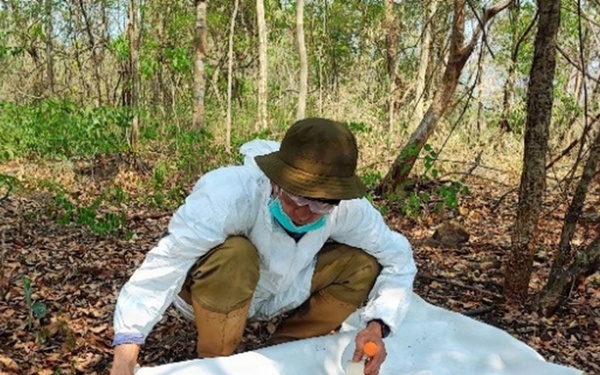 WRAIR-AFRIMS provides infectious disease surveillance in support of Cobra Gold 2026