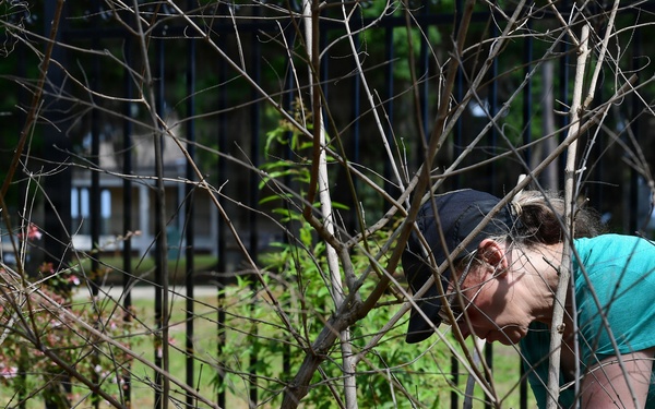 Keesler volunteers spruce up the Butterfly Garden for Gold Star Families' event