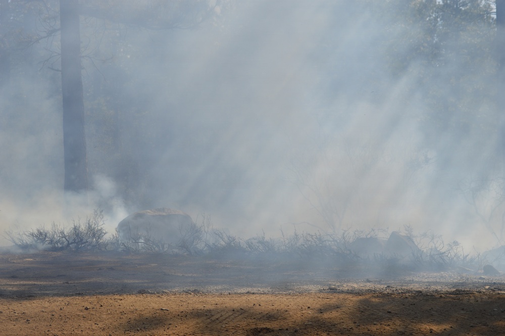 Prescribed Fire Operations in Dog Valley