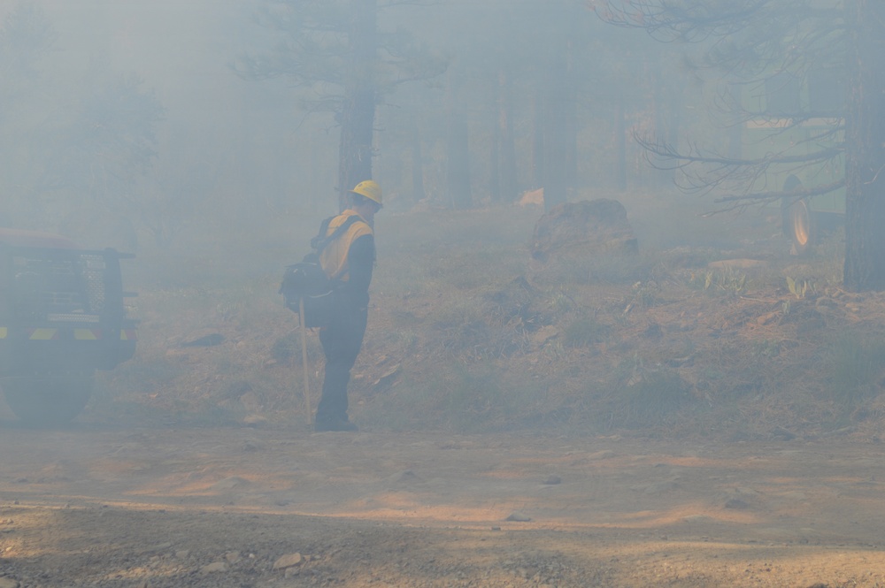 Prescribed Fire Operations in Dog Valley