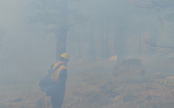 Prescribed Fire Operations in Dog Valley