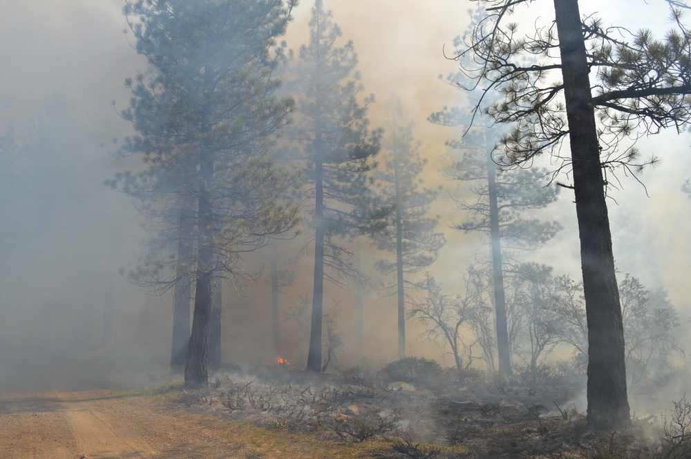 Prescribed Fire Operations in Dog Valley