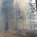 Prescribed Fire Operations in Dog Valley