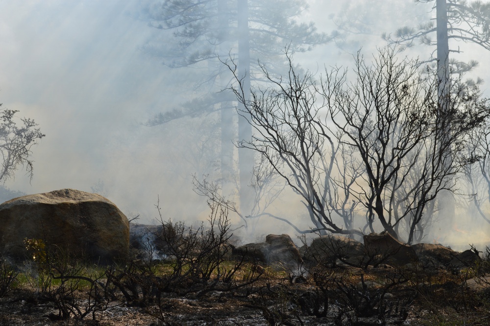 Prescribed Fire Operations in Dog Valley