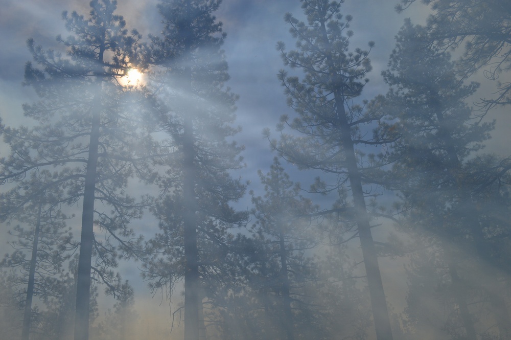 Prescribed Fire Operations in Dog Valley