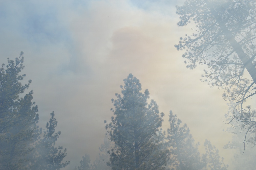 Prescribed Fire Operations in Dog Valley