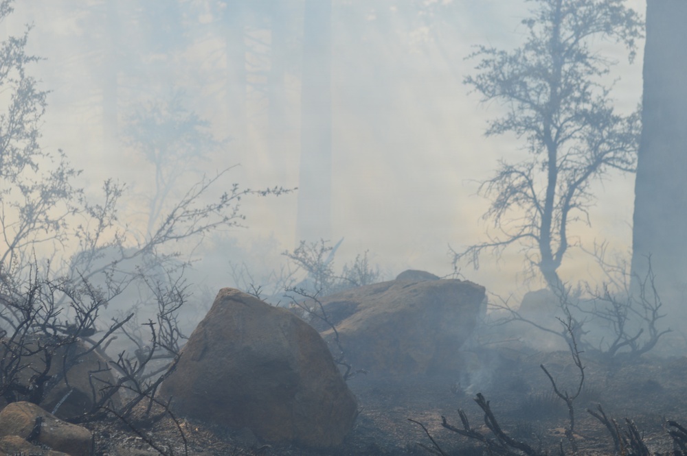 Prescribed Fire Operations in Dog Valley