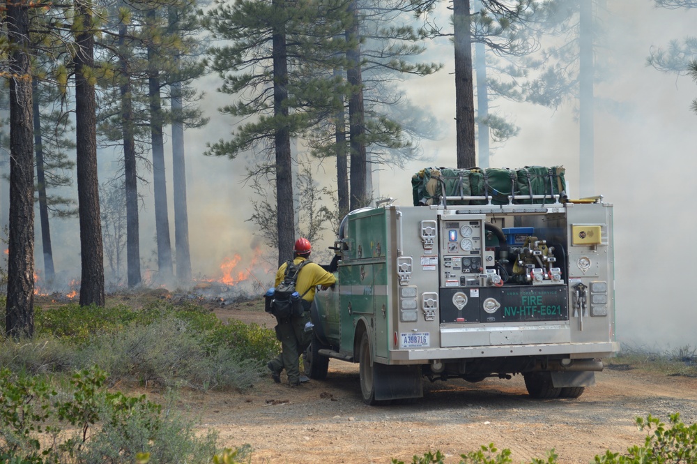 Prescribed Fire Operations in Dog Valley