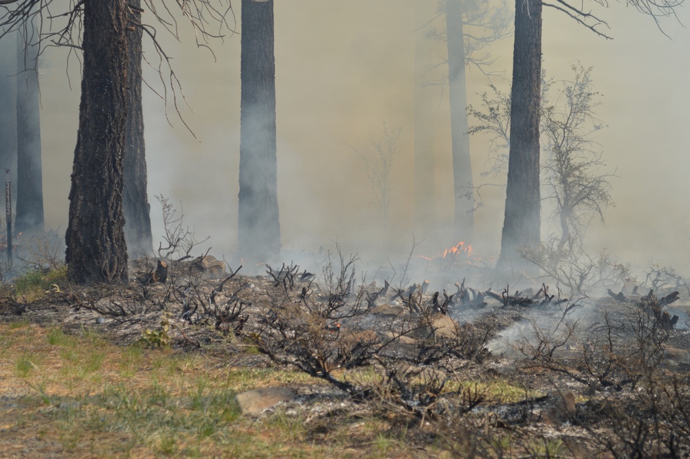 Prescribed Fire Operations in Dog Valley