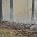 Prescribed Fire Operations in Dog Valley