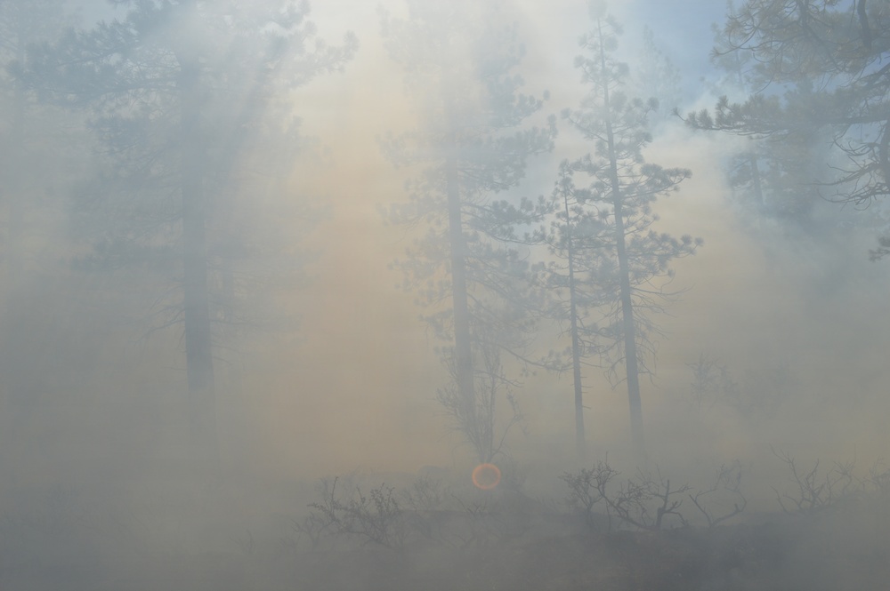 Prescribed Fire Operations in Dog Valley
