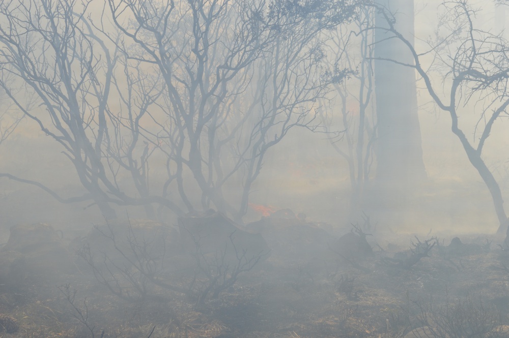 Prescribed Fire Operations in Dog Valley