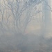 Prescribed Fire Operations in Dog Valley