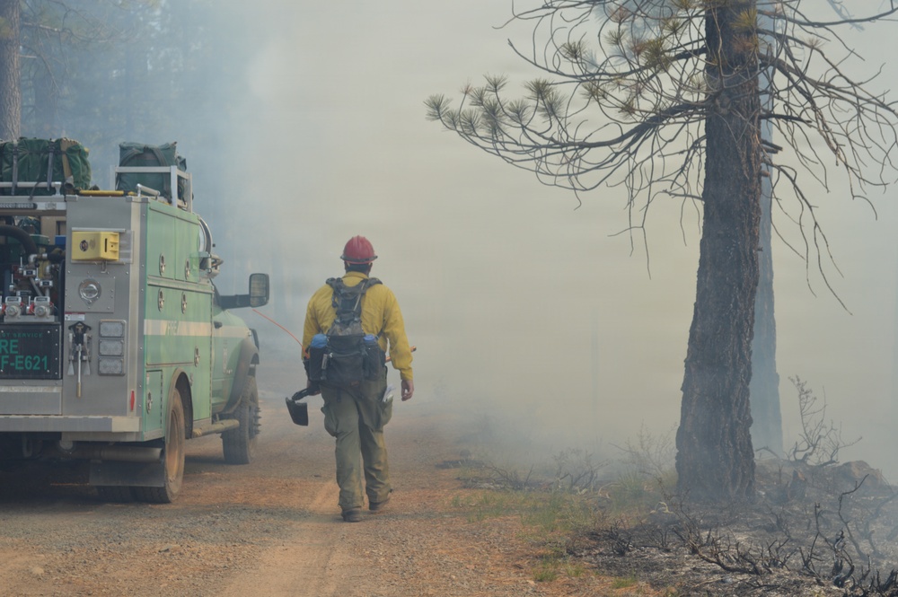 Prescribed Fire Operations in Dog Valley