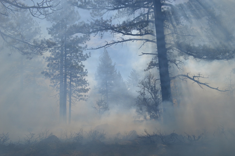 Prescribed Fire Operations in Dog Valley