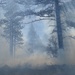 Prescribed Fire Operations in Dog Valley