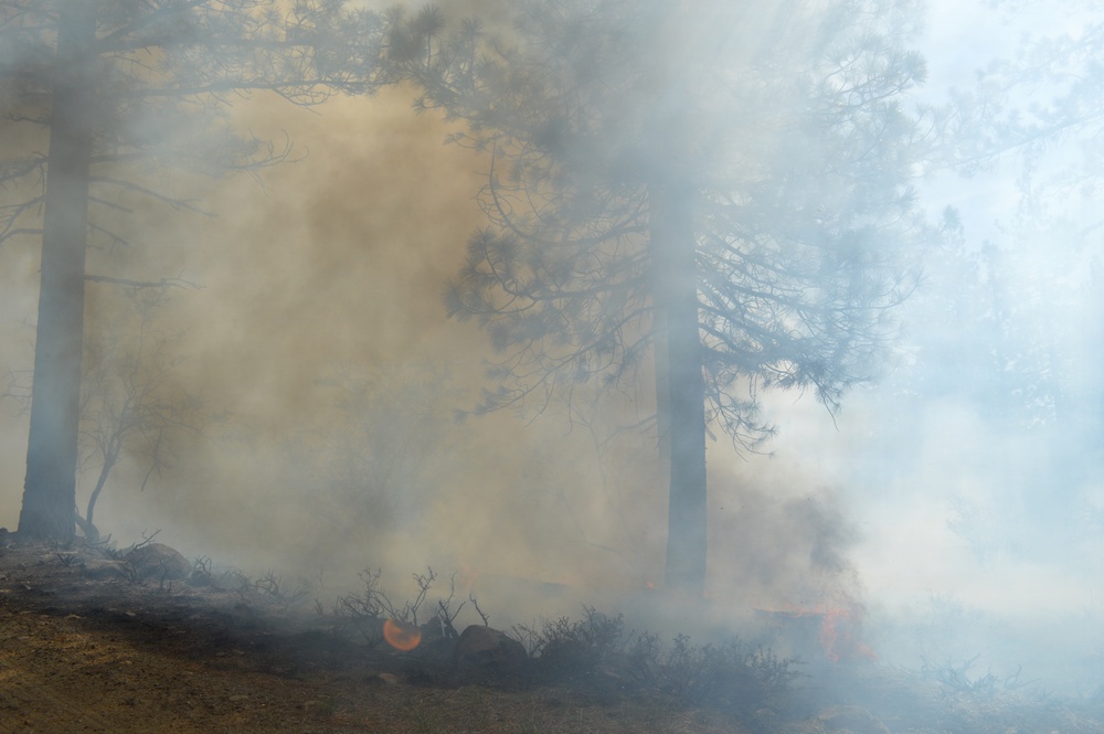 Prescribed Fire Operations in Dog Valley