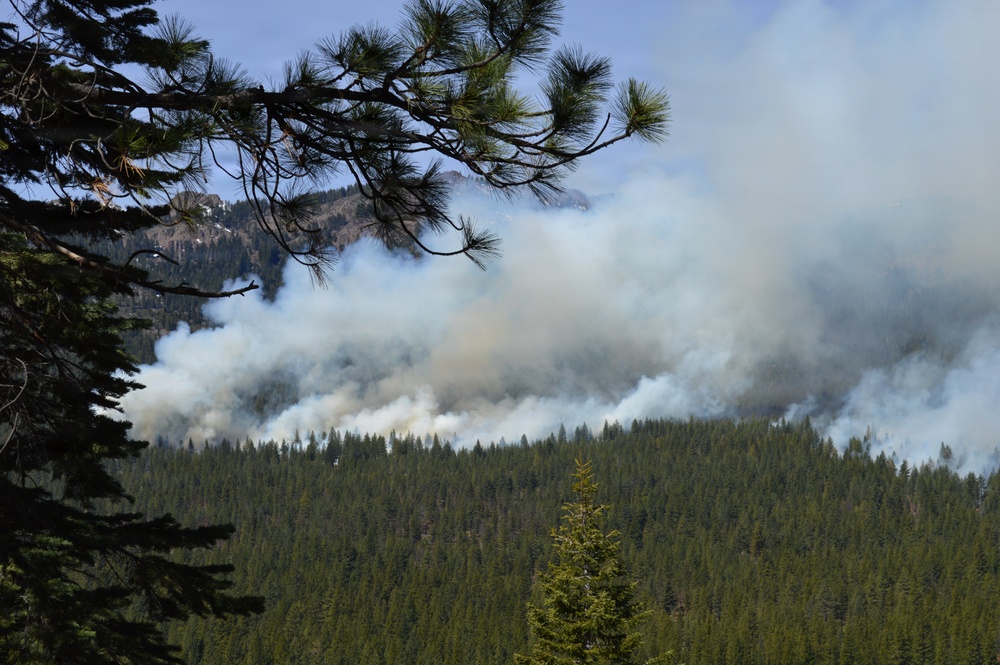 Prescribed Fire Operations in Dog Valley