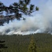 Prescribed Fire Operations in Dog Valley