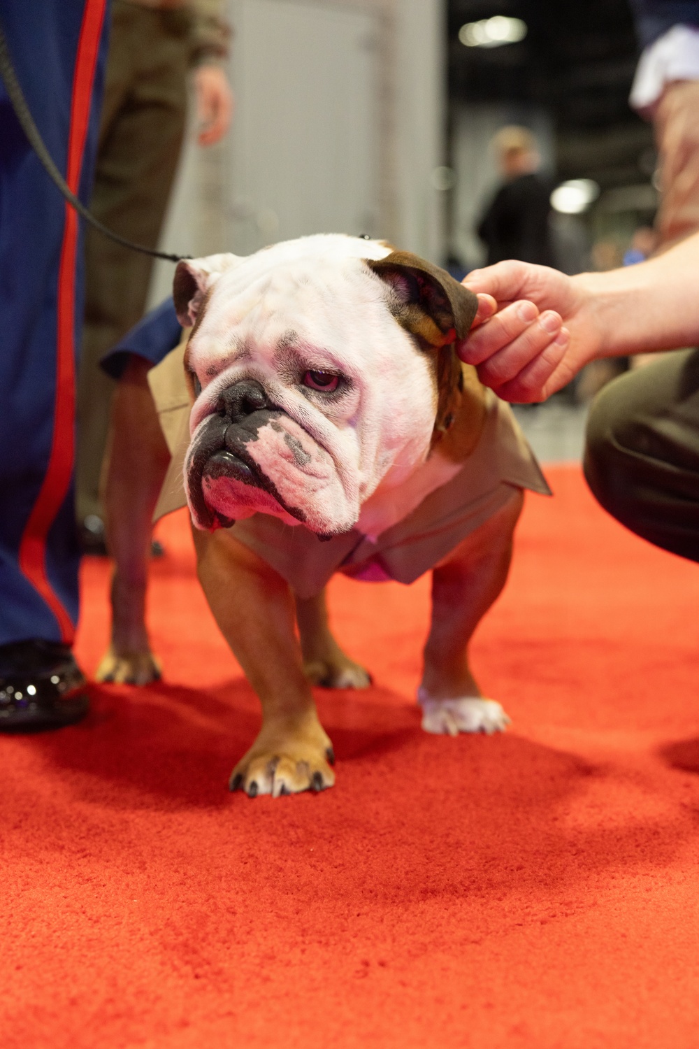 Modern Day Marine 2026 Day 2