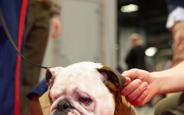 Modern Day Marine 2026 Day 2