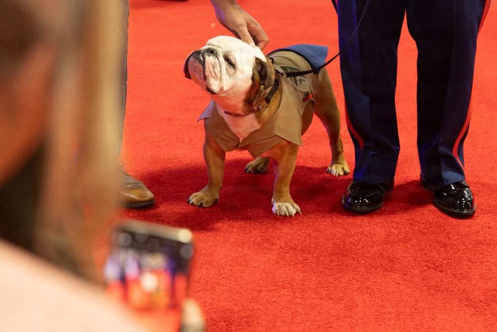 Modern Day Marine 2026 Day 2