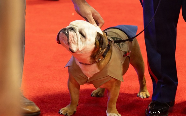 Modern Day Marine 2026 Day 2