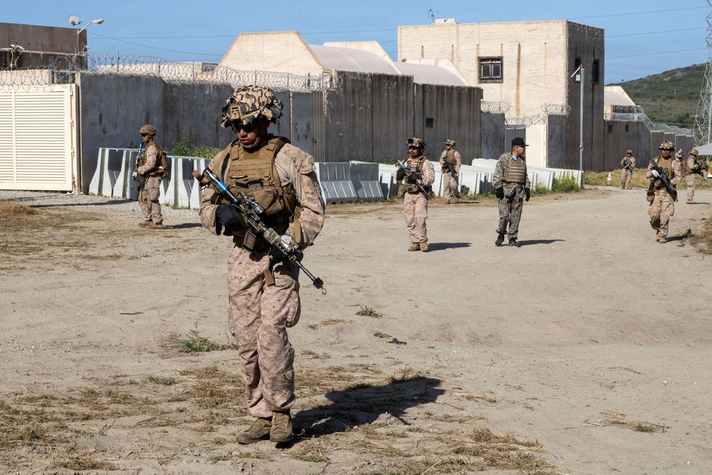 BLT 2/4 | Infantry Immersion Trainer