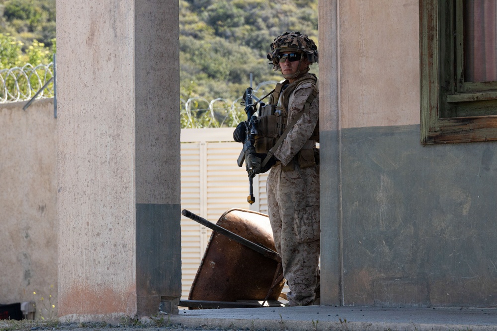 BLT 2/4 | Infantry Immersion Trainer